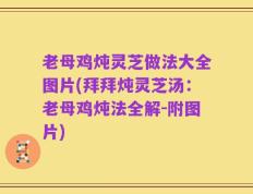 老母鸡炖灵芝做法大全图片(拜拜炖灵芝汤：老母鸡炖法全解-附图片)
