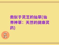 类似于灵芝的仙草(仙界神草：天然的健康灵药)