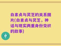 白素贞与灵芝的关系图片(白素贞与灵芝，神话与现实两重身份交织的故事)