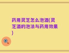 药用灵芝怎么泡酒(灵芝酒的泡法与药用效果)