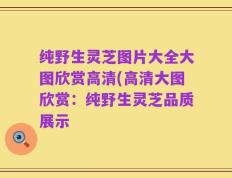 纯野生灵芝图片大全大图欣赏高清(高清大图欣赏：纯野生灵芝品质展示