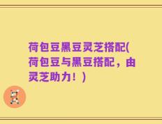 荷包豆黑豆灵芝搭配(荷包豆与黑豆搭配，由灵芝助力！)
