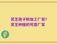 灵芝孢子粉加工厂家？灵芝种植的可靠厂家