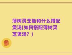 薄树灵芝能和什么搭配煲汤(如何搭配薄树灵芝煲汤？)
