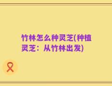 竹林怎么种灵芝(种植灵芝：从竹林出发)