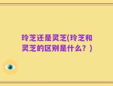 玲芝还是灵芝(玲芝和灵芝的区别是什么？)