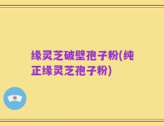 缘灵芝破壁孢子粉(纯正缘灵芝孢子粉)