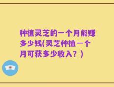 种植灵芝的一个月能赚多少钱(灵芝种植一个月可获多少收入？)