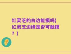 红灵芝的白边能摸吗(红灵芝边缘是否可触摸？)