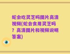 蛇会吃灵芝吗图片高清视频(蛇会食用灵芝吗？高清图片和视频说明答案)