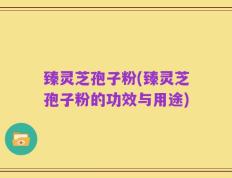 臻灵芝孢子粉(臻灵芝孢子粉的功效与用途)