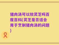 猪肉汤可以放灵芝吗百度百科(灵芝是否适合用于烹制猪肉汤的问题)