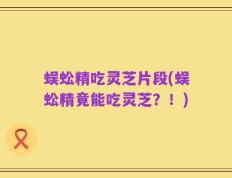 蜈蚣精吃灵芝片段(蜈蚣精竟能吃灵芝？！)