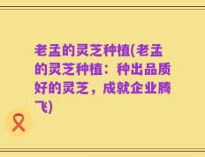 老孟的灵芝种植(老孟的灵芝种植：种出品质好的灵芝，成就企业腾飞)