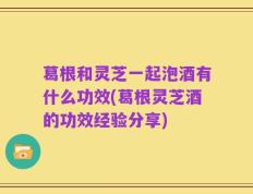 葛根和灵芝一起泡酒有什么功效(葛根灵芝酒的功效经验分享)