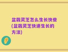盆栽灵芝怎么生长快些(盆栽灵芝快速生长的方法)