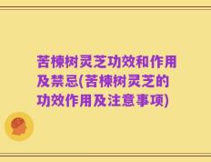苦楝树灵芝功效和作用及禁忌(苦楝树灵芝的功效作用及注意事项)