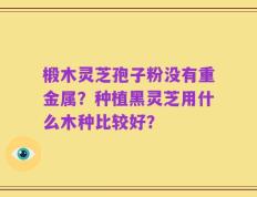 椴木灵芝孢子粉没有重金属？种植黑灵芝用什么木种比较好？