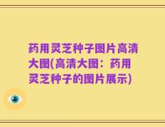 药用灵芝种子图片高清大图(高清大图：药用灵芝种子的图片展示)