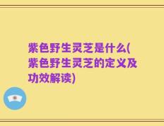 紫色野生灵芝是什么(紫色野生灵芝的定义及功效解读)