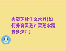 肉灵芝放什么水养(如何养育灵芝？灵芝水需要多少？)