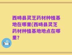 西畴县灵芝药材种植基地在哪里(西畴县灵芝药材种植基地地点在哪里？
