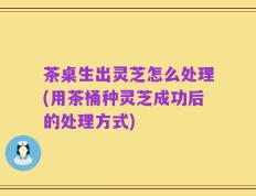 茶桌生出灵芝怎么处理(用茶桶种灵芝成功后的处理方式)