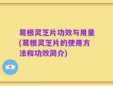 葛根灵芝片功效与用量(葛根灵芝片的使用方法和功效简介)