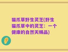 猫爪草野生灵芝(野生猫爪草中的灵芝：一个健康的自然天赐品)