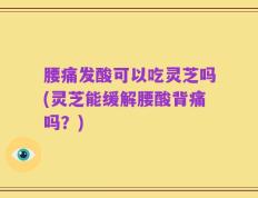 腰痛发酸可以吃灵芝吗(灵芝能缓解腰酸背痛吗？)