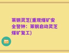 莱钢灵芝(重现煤矿安全警钟：莱钢启动灵芝煤矿复工)