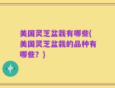美国灵芝盆栽有哪些(美国灵芝盆栽的品种有哪些？)