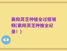 襄阳灵芝种植全过程视频(襄阳灵芝种植全纪录！)