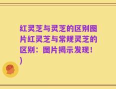 红灵芝与灵芝的区别图片红灵芝与常规灵芝的区别：图片揭示发现！)