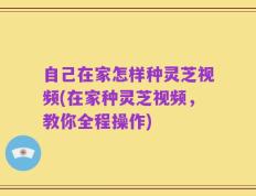 自己在家怎样种灵芝视频(在家种灵芝视频，教你全程操作)