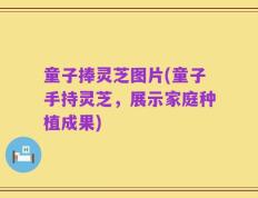 童子捧灵芝图片(童子手持灵芝，展示家庭种植成果)
