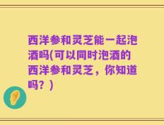 西洋参和灵芝能一起泡酒吗(可以同时泡酒的西洋参和灵芝，你知道吗？)