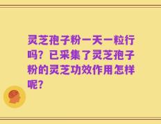 灵芝孢子粉一天一粒行吗？已采集了灵芝孢子粉的灵芝功效作用怎样呢？