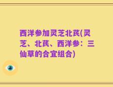 西洋参加灵芝北芪(灵芝、北芪、西洋参：三仙草的合宜组合)