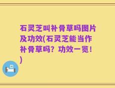 石灵芝叫补骨草吗图片及功效(石灵芝能当作补骨草吗？功效一览！)
