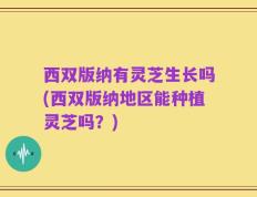 西双版纳有灵芝生长吗(西双版纳地区能种植灵芝吗？)