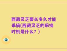 西藏灵芝要长多久才能采摘(西藏灵芝的采摘时机是什么？)