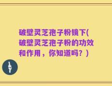 破壁灵芝孢子粉镜下(破壁灵芝孢子粉的功效和作用，你知道吗？)