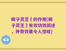 蝎子灵芝氿的作用(蝎子灵芝氿有效功效简述，神奇效果令人惊叹)