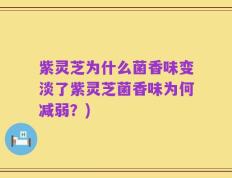 紫灵芝为什么菌香味变淡了紫灵芝菌香味为何减弱？)