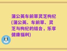 蒲公英车前草灵芝枸杞(蒲公英、车前草、灵芝与枸杞的组合，乐享健康福利)