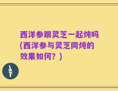 西洋参跟灵芝一起炖吗(西洋参与灵芝同炖的效果如何？)