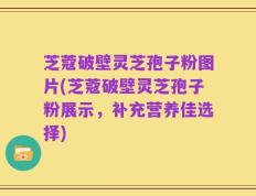 芝蔻破壁灵芝孢子粉图片(芝蔻破壁灵芝孢子粉展示，补充营养佳选择)
