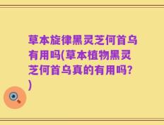 草本旋律黑灵芝何首乌有用吗(草本植物黑灵芝何首乌真的有用吗？)