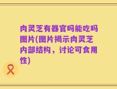 肉灵芝有器官吗能吃吗图片(图片揭示肉灵芝内部结构，讨论可食用性)